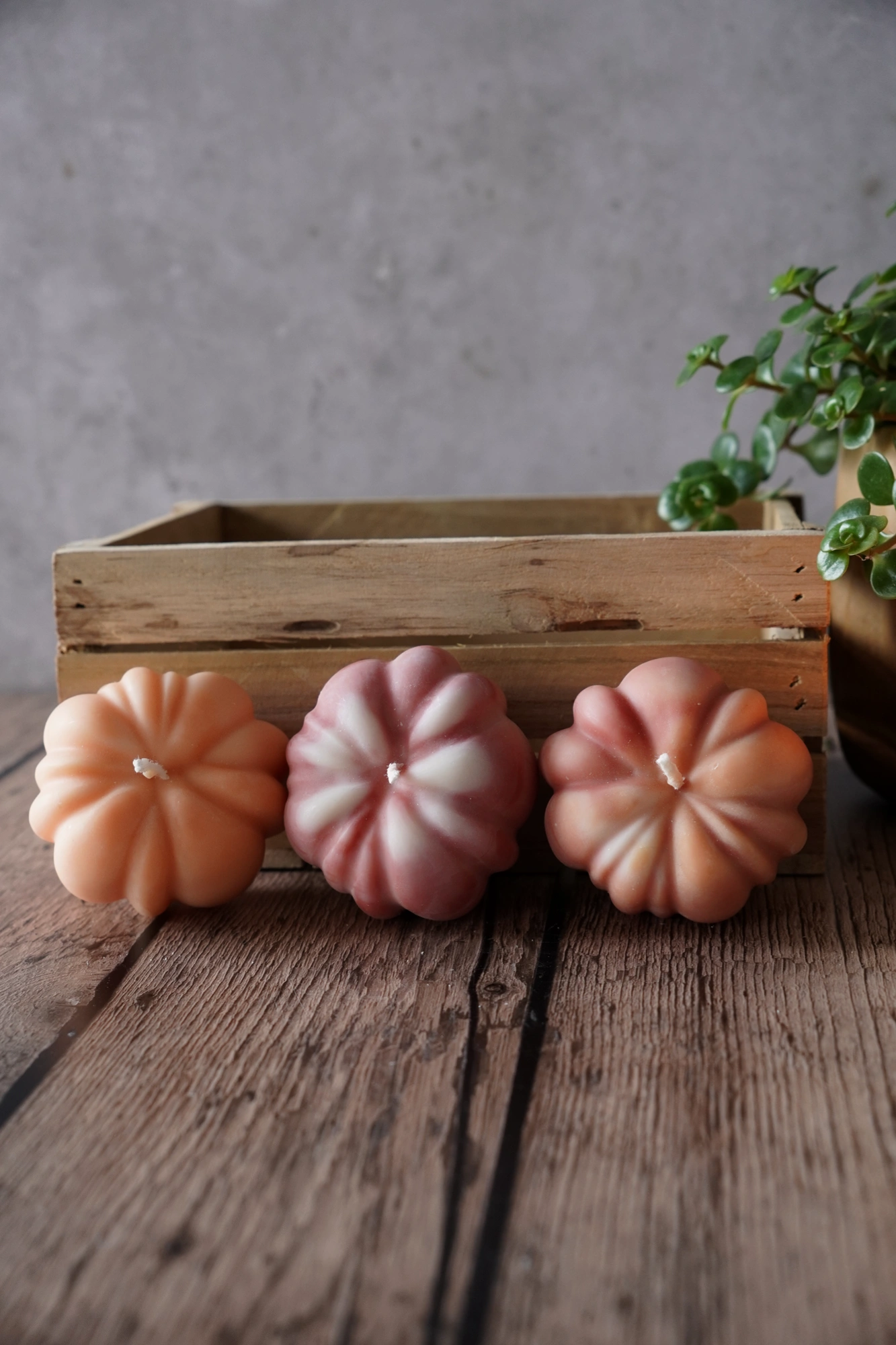 3 Pompoenkaarsjes - Set 4